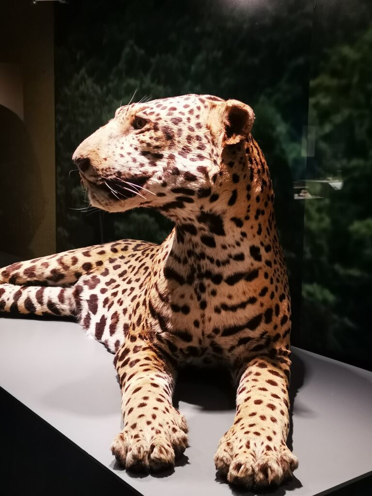 Acercamiento al arte y cultura