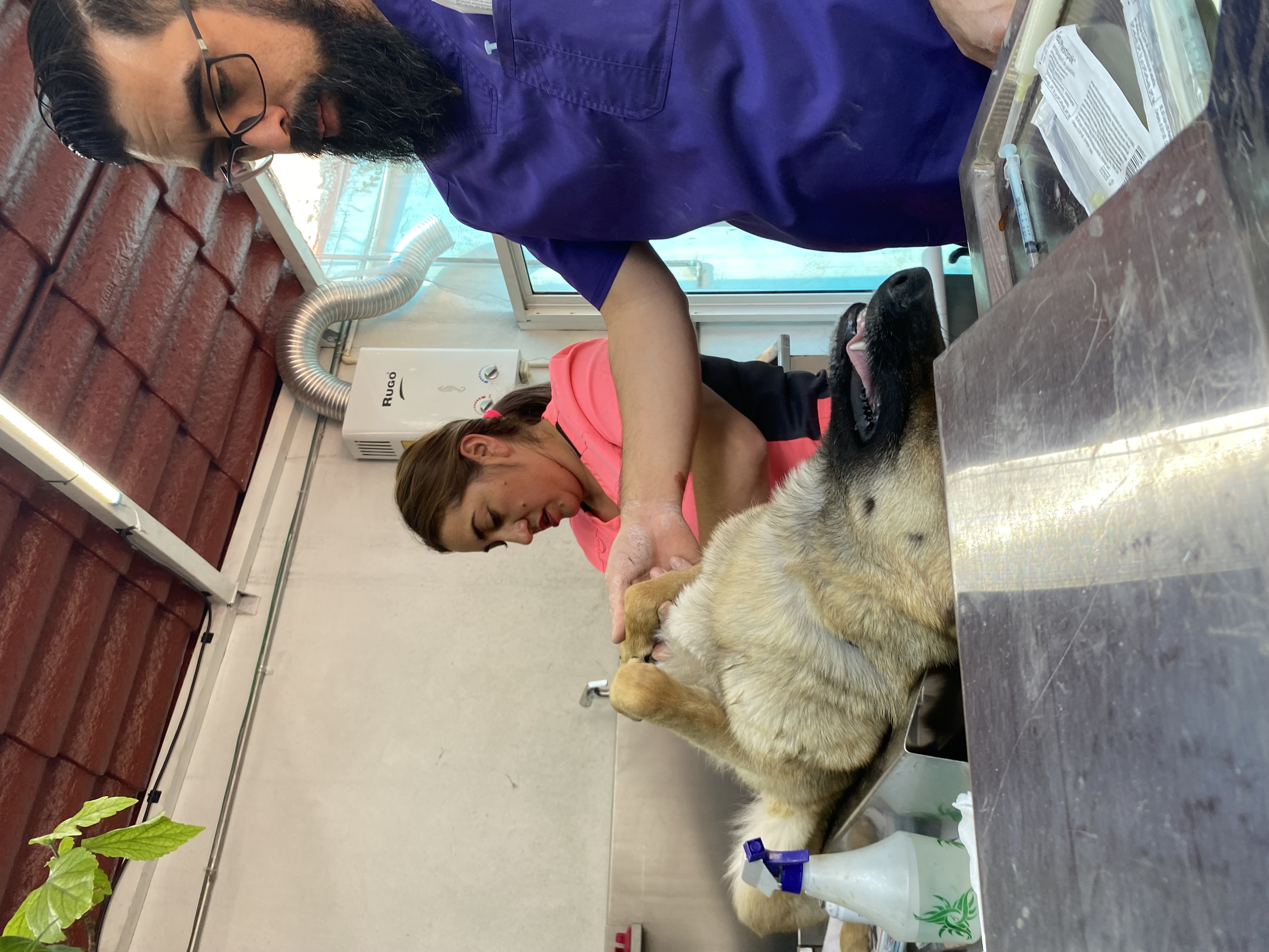 1ra Campaña de Esterilización